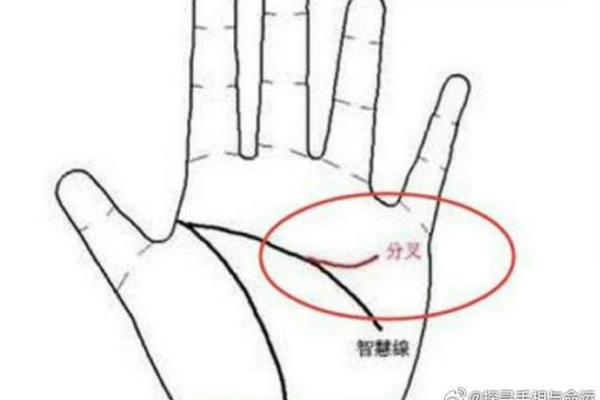 揭密手腕几条线背后的命运密码：深入探讨掌纹的神秘含义
