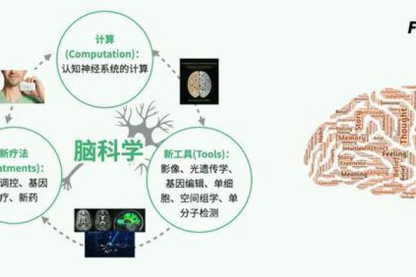 戊寅土命的人适合哪些职业？探讨职业发展的方向与机遇