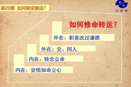 揭秘50岁男人的命运：他们的生活、挑战与机遇