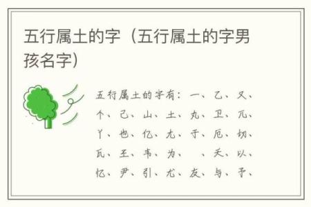 戊土命取名禁忌解析：如何为戊土命的人选择合适的名字？