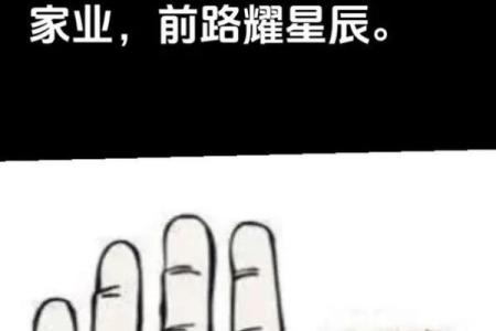 解密手纹：解读你命运的秘密与人生方向