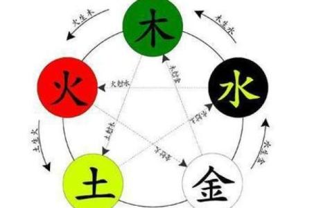 水龙之命：与属相相克相合的深度解析与生活启示