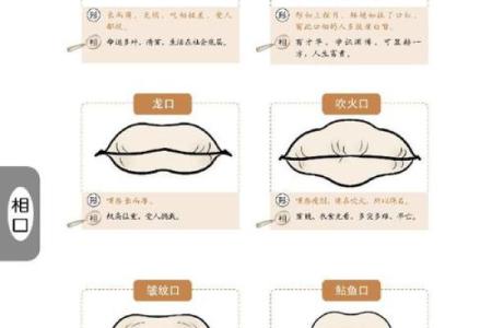 探寻龙口女人的命运：她们背后的智慧与魅力