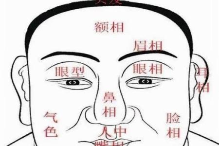 看眉短的男人命运，如何影响人生与性格