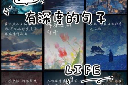 2023年53岁的人生启示：掌握生命的智慧与命运的选择