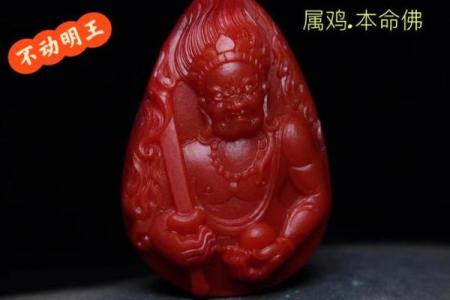 属鸡人62岁时的命运解析：智慧与挑战并存的年华