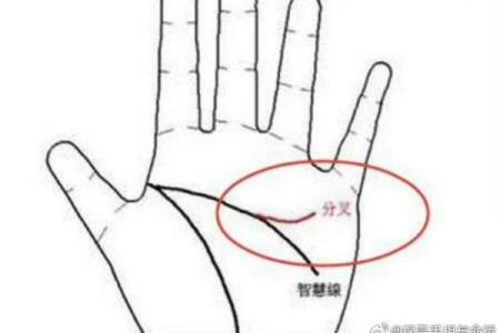 揭密手腕几条线背后的命运密码：深入探讨掌纹的神秘含义