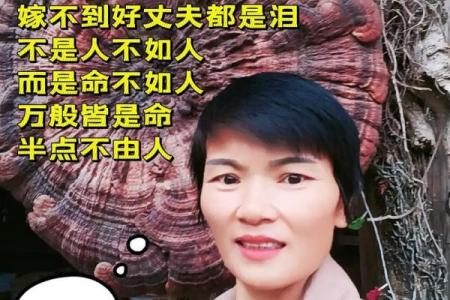 女人信命：命运与选择交织的精彩人生之旅