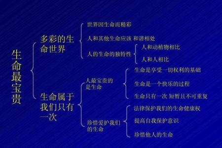 1983年出生的人命运解析：发现每一个生命的独特轨迹