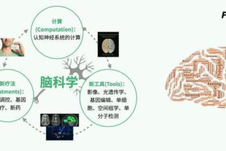 戊寅土命的人适合哪些职业？探讨职业发展的方向与机遇