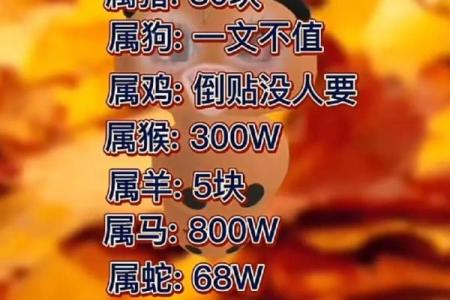 53年属猪的命运解析：如何把握机遇与挑战