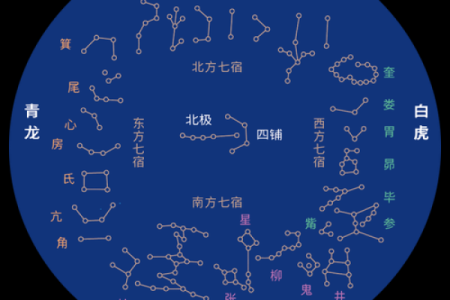 探秘命盘之美：哪些生肖星宿之下易出美女？