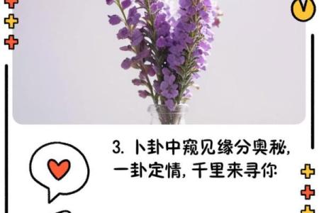 露从何处来，月照何方行：探寻命运的奥秘与启示
