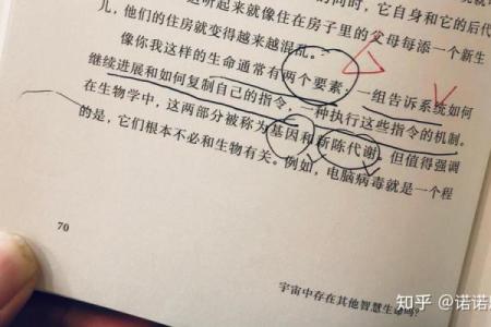 28岁老鼠：生命的智慧与命运的探索