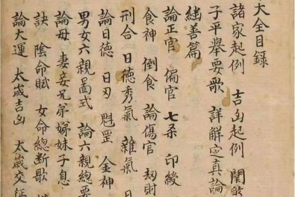 探索五行中的水命与木命：揭示命理智慧的奥秘