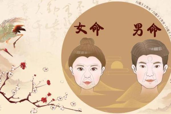 脸上有凹陷是什么命？揭开面相与命运的神秘关联