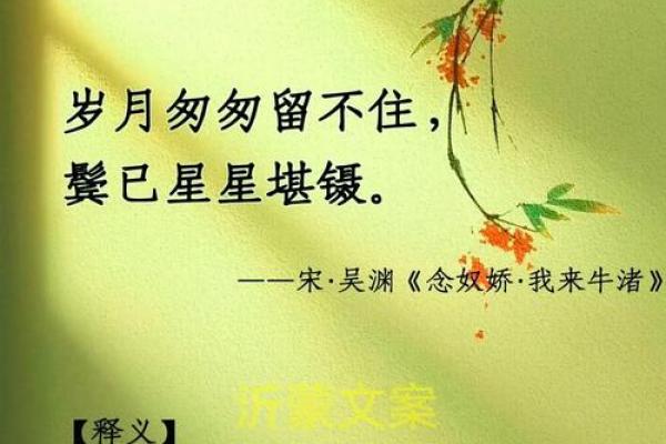 岁百命的深刻意义：生命的珍贵与时光的流逝