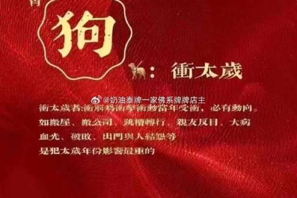 探寻属狗2017年命运：狗年生人的命格解析与人生指引