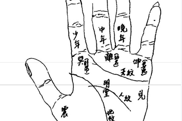 揭示：手相中多妻命的秘密与解析