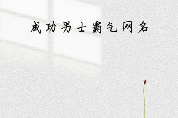 男士木命独特网名推荐，展现个性与风格