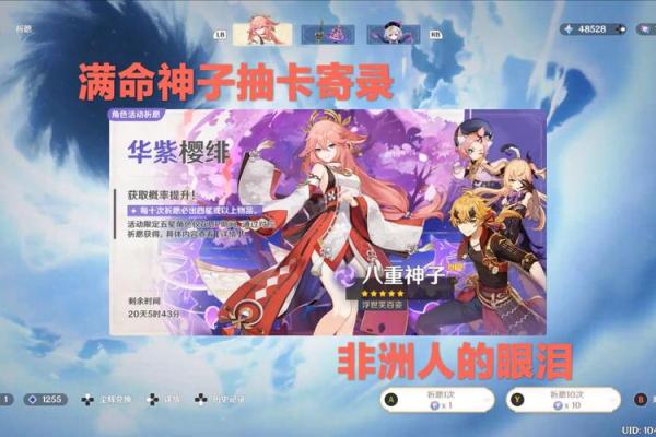 探秘游戏抽卡：满命与零命的意义与策略解析