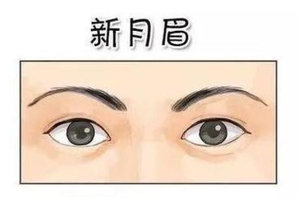 眉毛短的女人命运分析：从面相看人生的奥秘