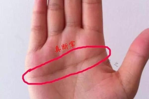 揭秘男人断掌命运：他们的运势与成功之路