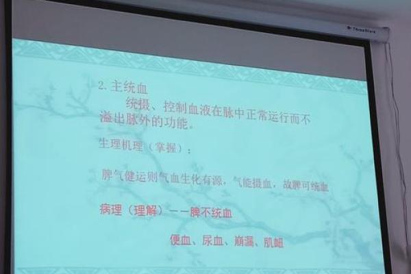 婴儿命心小对其未来发展的深远影响解析