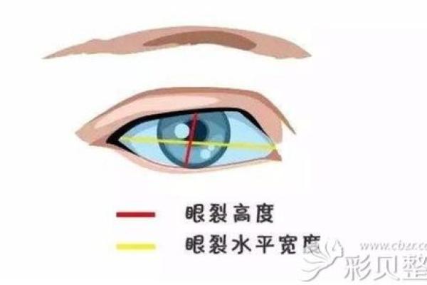 整容魅力：男性如何根据命盘选择合适的整容方案