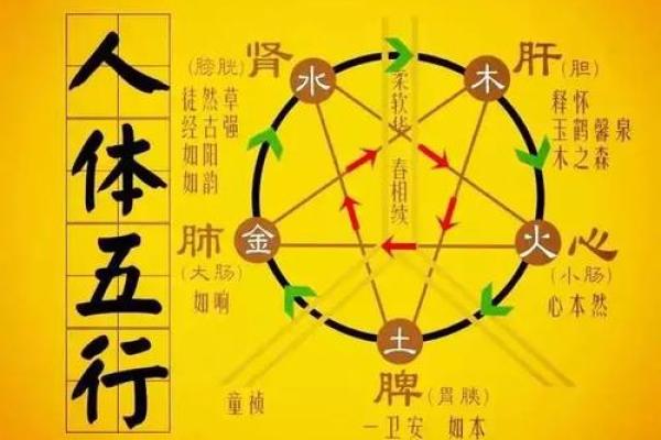 金命与那些命格不宜相合的人探讨