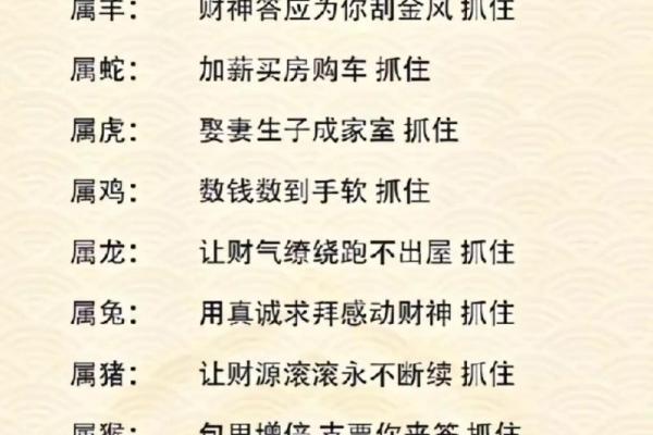 1978年出生的人属马，命理解析与运势展望