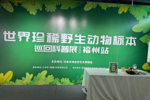 探索生命的奥秘：从“命”字看人生的多重意义与价值