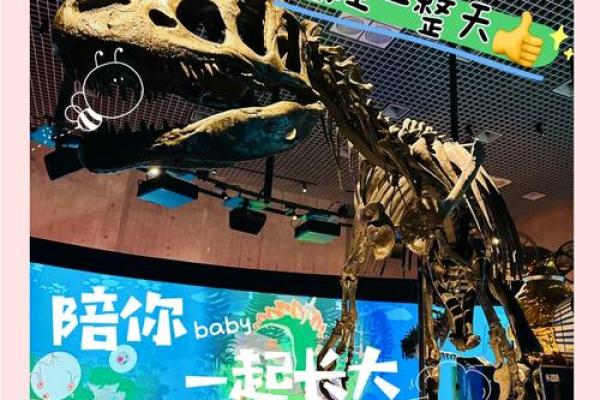 探索生命的奥秘：从“命”字看人生的多重意义与价值