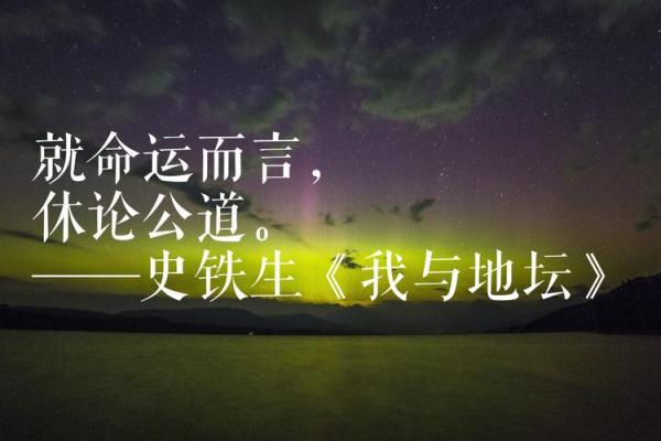 探讨80岁属什么生肖及其命运启示的深刻思考