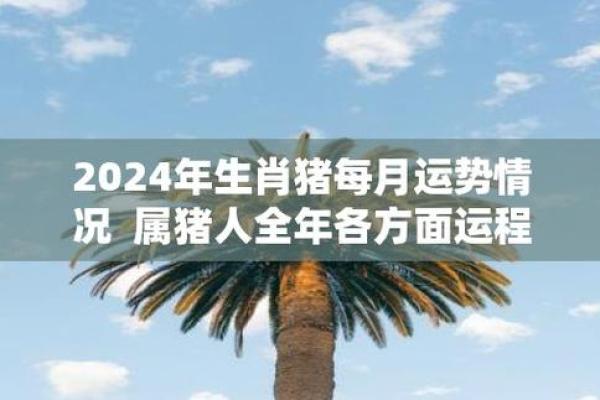 1984年出生的猪命：幸福与机遇的完美结合