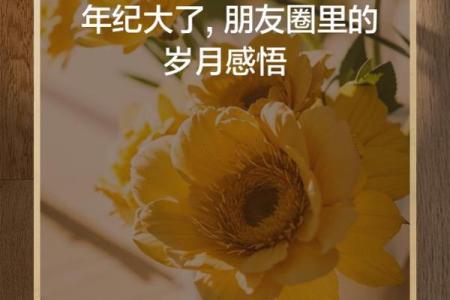 岁百命的深刻意义：生命的珍贵与时光的流逝