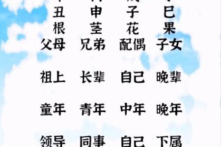明年兔年，什么命最旺？让我们一起探索兔年出生者的命理之道！