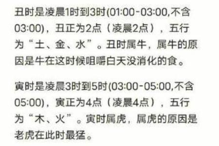 揭秘命火：深度解析命火的意义与应用