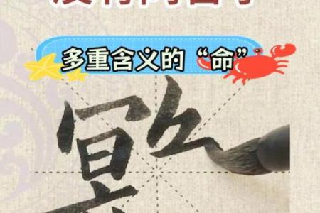 探寻命运的深意：了解“命”的真正含义与意义