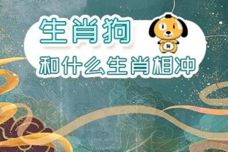 探寻属狗2017年命运：狗年生人的命格解析与人生指引
