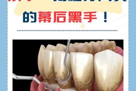 骨质疏松：悄然无声的“隐形杀手”，如何守护健康骨骼？