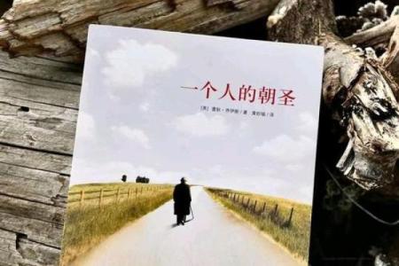 老实善良的人是一种命运的见证，生活的祝福与磨难交织的旅程