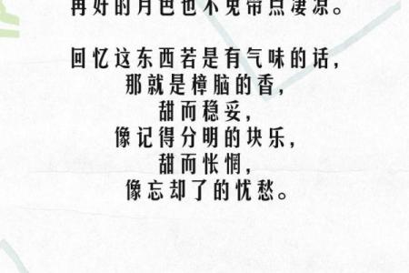 分离命不齐：探寻人生的无常与命运的奇妙交织
