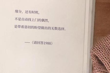 “一命抵一命”背后的深意与情感探索——从电影台词谈起