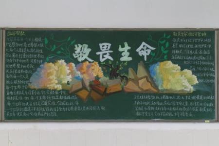 特别惜命的人格特征分析：为什么我们如此重视生命的意义