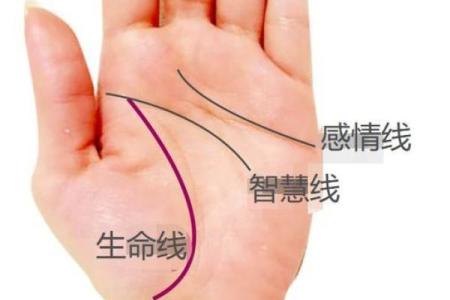 看手相识人生：揭秘厚实命女人的命运密码