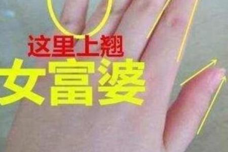 金命人选手机颜色的最佳指南，助你提升运势与魅力！
