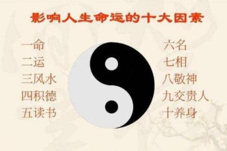 逆流而上：当一命换一命的悲壮与真情交织