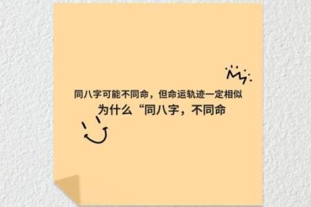 八字断命：揭示男命格的好坏与命运之道