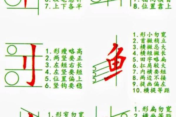 命的部首与偏旁探秘：揭开汉字背后的奥秘和魅力
